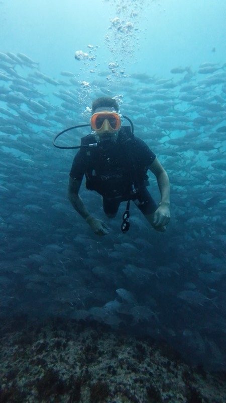 Un buceador rodeado por un denso banco de peces plateados.