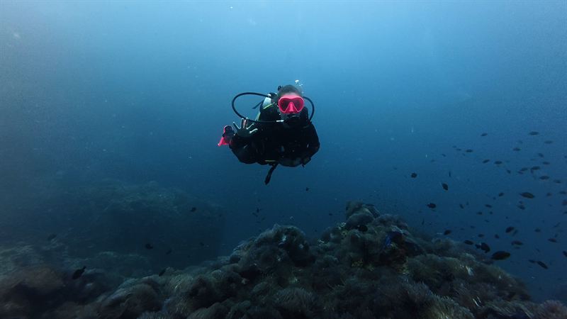 A diver in a pink mask waving over the reef.