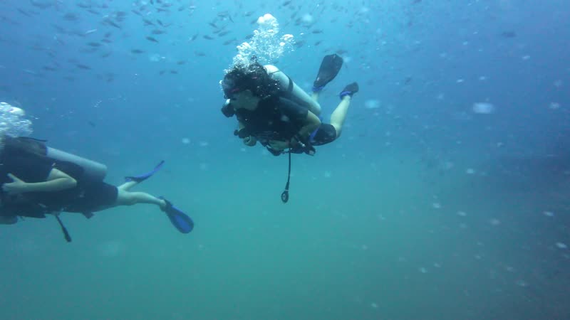 Two divers swimming side by side through blue water, bubbles rising.