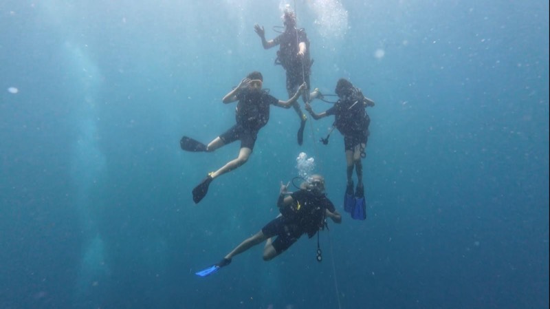 Cuatro alumnos de buceo manteniendo la posición juntos a media agua.