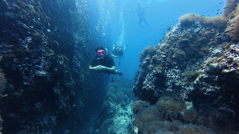 A guide leading divers through a canyon between two coral-covered walls.