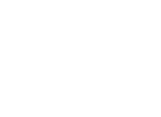 The Diver's Boat